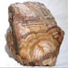 2546 Gram 5 Pound 9.8 Ounce Arizona Banded Agate Cabochon Cab Rough AA8 view 1