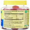 Spring Valley K2 + D3 Vegetarian Gummy Supplement for Bone and Immune Health, 60 Count+Better Guide Vitamins Supplements view 3