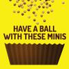 Reese's Puffs Minis Breakfast Cereal, Chocolate Peanut Butter Cereal, Family Size, 35 OZ Bag Cereal view 3