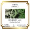 Blackberry Sage Colombian Decaf Coffee (Single Serve K-Cup Pods) (Gourmet, Naturally Flavored, Whole Coffee Beans) (12 pods, ZIN: 575180) - 3 Pack view 2