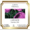 Cardamom Guatemalan Coffee (Single Serve K-Cup Pods) (Gourmet, Naturally Flavored, Whole Coffee Beans) (12 pods, ZIN: 571770) - 3 Pack view 3