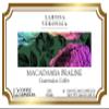 Macadamia Praline Guatemalan Coffee (Single Serve K-Cup Pods) (Gourmet, Naturally Flavored, Whole Coffee Beans) (12 pods, ZIN: 573466) - 3 Pack view 2