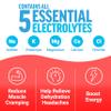 Force Factor Liquid Labs Energy Drink, Electrolytes Powder, Hydration Packets to Boost Energy & Focus, 5 Essential Electrolytes, Vitamins, Minerals, & Antioxidants, Fruit Punch Flavor, 20 Stick Packs view 2