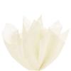 Gift Wrapping Tissue Paper 15x20 10 Pack by Feronia Packaging (Ivory Eggshell) view 1