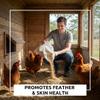 Worlds Best Chicken Dust Bath  Natural Wood Ash, Sand & Fine Dust Blend  Safe for All Chickens (20 Pounds) view 4