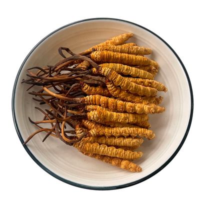 3 Gram 100% Wild Himalayan Cordyceps Sinensis Chinese Caterpillar Fungus Cordyceps Sinensis Wild Cordyceps,Dong Chong Xia Cao,Memory Support Immune Support,Natural Organic Herbal Supplements.
