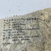 2010 Shimonoseki Brown Round Raw Pu-erh Tea Cake, 357g, from Yunnan view 2