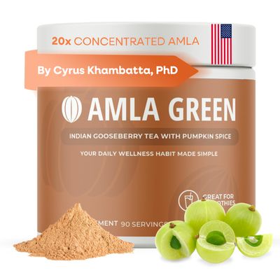 Amla Powder Superfood Supplement with Pumpkin Spice, 20x Ultra Concentrated Amla, Made with Cinnamon, Ginger, Nutmeg, Cloves, Allspice, Cardamom, Indian Gooseberries, Pumpkin Spice, 90 Servings