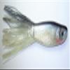 Anchovy Hybrid Musky Tube view 2