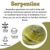 Amazing Gemstone Serpentine Crystals and Healing Stones Tumbled - 1000+ Carats Serpentine Stone, Natural Healing Stones for Energy Balance, Stress Relief - Premium Polished Gems Rocks for Meditation view 4