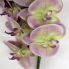 SilksAreForever 38" Silk Phalaenopsis Orchid Flower Stem -Lavender/Green (Pack of 4) view 2