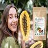 100% Natural Sun Dried Papaya Seeds | High Papaya Enzyme (Papain) Content | No Additives | Vegan | Laboratory Tested | Gluten & Lactose Free | Ethycally sourced (approx 1000 kernels ~ 15g) view 2
