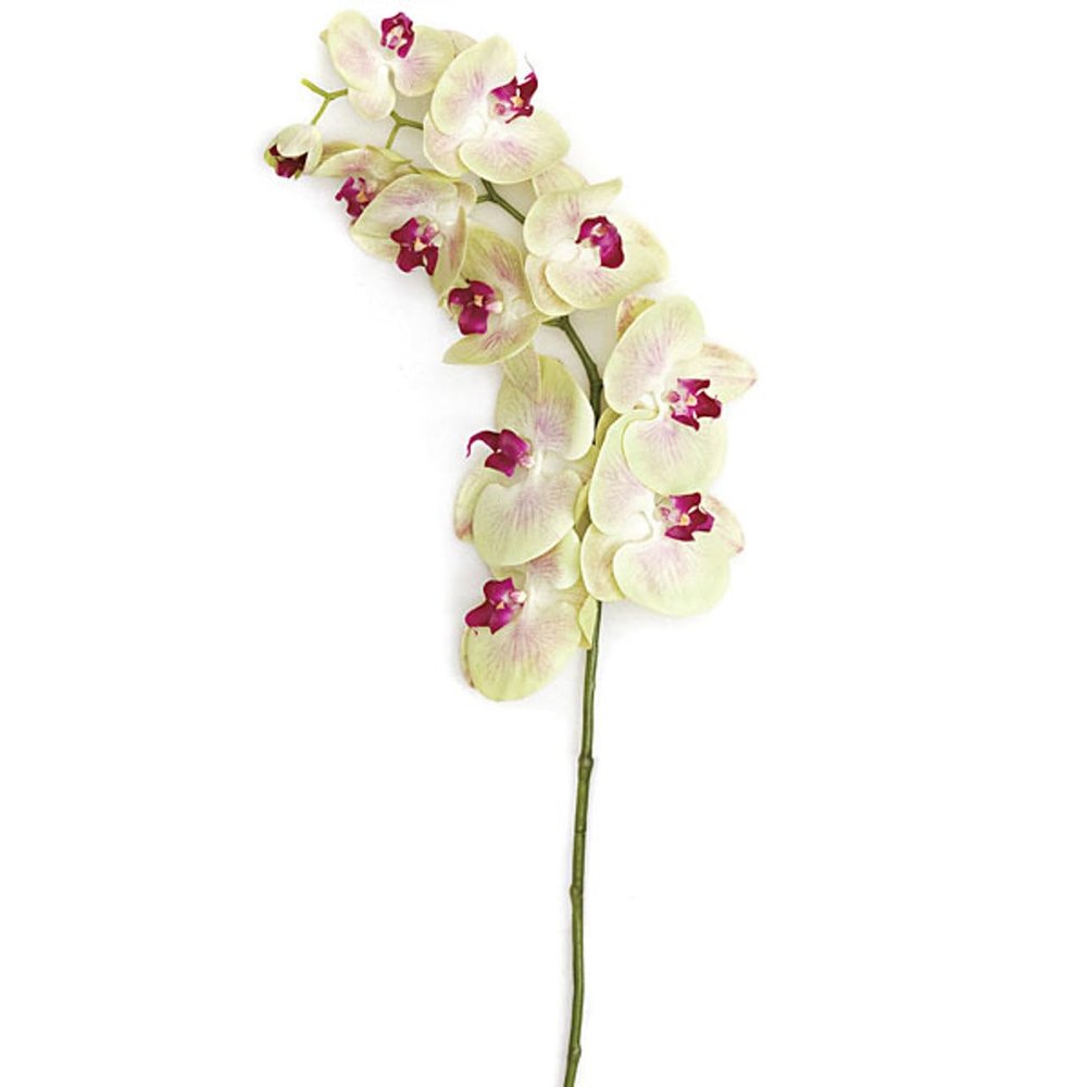 SilksAreForever 38" Silk Phalaenopsis Orchid Flower Stem -Light Green (Pack of 4)