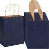 100 Pack 5.9x3.15x8.26 inch Small Gift Bags, Kraft Dark Blue Bags with Handles Bulk for Birthday Party Favors,Gift Paper Bags,Retail Shopping Business Goody Craft Gift Bags view 1