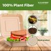 [200 COUNT]Sugarfiber by Harvest Pack PFAS FREE 9 X 9" Compostable Clamshell Food Containers, Heavy-Duty Hinged Container, Disposable Bagasse Eco-Friendly Natural Sugarcane Takeout to go Box view 3