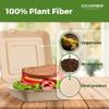[200 COUNT]Sugarfiber by Harvest Pack PFAS FREE 10 X 10" Compostable Clamshell Food Containers, Heavy-Duty Hinged Container, Disposable Bagasse Eco-Friendly Natural Takeout to go Box view 3