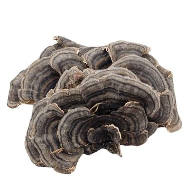 WonderLand Herbs Changbai Mountain Wild Trametes versicolor/CORIOLUS/Trametes 35.3 Oz.