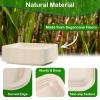 EcoAvance 14 inch Large Paper Plates, 50 Pack Disposable Trays, 100% Compostable Paper Plates Heavy Duty, Eco Friendly Disposable Plates, Brown Paper Plates Dinner for Party BBQ Picnic view 3