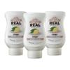 Ginger Rel Infused Exotics, Ginger Infused Syrup, 16.9 FL OZ Squeezable Bottle (Pack of 3) view 1
