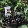 Black Cherry Rel Infused Exotics, Black Cherry Puree Infused Syrup, 16.9 FL OZ Squeezable Bottle (Pack of 3) view 4
