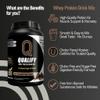 Dark Chocolate Whey Protein Powder. 25g Protein Shake for Post Workout Recovery, Smoothie & Baking. Gluten & Sugar Free, Highly Kosher, With Amino Acids (5.5g BCAA, 2.7g Leucine), 1.65lbs, 23 Servings view 4