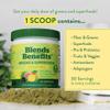 360 Nutrition Blends with Benefits Super Greens Powder w/Probiotics, Digestive Enzymes, Sugar & Gluten Free, Plant Based Superfood Drink Mix for Gut Health, Bloating, Immunity, Overall Health, 6.35 oz view 3