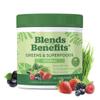 360 Nutrition Super Greens Powder with Probiotics & Digestive Enzymes, Sugar & Gluten Free, Plant-Based Superfood for Gut Health, Immunity - 6.35 oz view 1