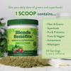 360 Nutrition Super Greens Powder with Probiotics & Digestive Enzymes, Sugar & Gluten Free, Plant-Based Superfood for Gut Health, Immunity - 6.35 oz view 3