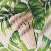 Tableclothsfactory 100 Pcs - Environmentally Friendly Disposable 6" Birch Wood Dinnerware Throw Away Green Party Spoons view 1