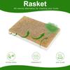 Rasket 10 Pack Biodegradable Natural Sponges Kitchen - Compostable Cellulose and Coconut Walnut Scrubber Sponge - Eco Friendly Sponges for Dishes view 3