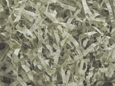 Tapestry Green Tissue Shred, 18 oz. Bag Wedding Christmas Anniversary Birthday Valentine's Day Basket Packaging Filling Crinkle Cut Paper Shred Filler Gift Wrapping