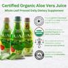 JUAL 100% Pure Organic Aloe Vera Juice  Zero Sugar, Aloin-Free  Lemon & Ginger Flavor  Vegan Detox Functional Beverage  16.7 Fl Oz (500ml) view 3