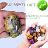 1PC Crazy Agate Natural Oval Worry Stone 2.4", STINO Real Crystal Palm Stone for Anxitey, Pocket Healing Crystal Gemstones (Crazy Agate) view 2