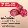 Maju Superfoods Organic Red Maca Root Capsules 120ct - Women Focused Curve Enhancement Nutrition Booster Pills, Gain for Thighs, Powder in Pill Supplement view 3