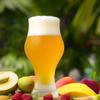 Tropical Mind Bender Hazy IPA Extract Beer Recipe Kit view 1
