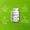 Alpha GPC 600mg Per Serving, 240 Capsules  Bioavailable Choline Replenishment Nootropic Brain Health Supplements for Memory and Focus  Non-GMO, Gluten Free view 4