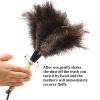 iHUFeather Ostrich Feather Duster 14 inch Feather Duster Fluffy Natural Genuine Ostrich Feathers with Wooden Handle and Eco-Friendly Reusable Handheld Ostrich Feather Duster for Cleaning Supplies view 4