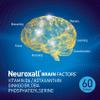 NANOWELL Neuroxall Brain Factors - Cognitive Support with Vitamin B6, Astaxanthin, Ginkgo Biloba Extract & Phosphatidylserine - Boosts Brain Health, Memory & Focus - 60 Softgels view 4