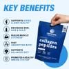 Zammex Premium Collagen Peptides Powder, 30 Sticks Travel Packets(Type I, III), Unflavored Collagen Protein Powder to Go, Hydrolyzed Collagen Peptide for Skin Hair Nail Joint, 10g per Serving view 4