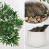 DILATATA Fake Bonsai Tree Zen Juniper Plant 10' Tall Artificial Bonsai with White Ceramic Pot Decorated with Pebbles Indoor Bonsai for Home Office Decor view 2