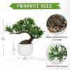 DILATATA Fake Bonsai Tree Zen Juniper Plant 10' Tall Artificial Bonsai with White Ceramic Pot Decorated with Pebbles Indoor Bonsai for Home Office Decor view 3