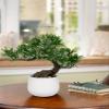 DILATATA Fake Bonsai Tree Zen Juniper Plant 10' Tall Artificial Bonsai with White Ceramic Pot Decorated with Pebbles Indoor Bonsai for Home Office Decor view 4