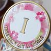 1 Year Butterfly Pink Lotus Flower Sobriety Medallion One Day at A Time AA NA Chip view 3