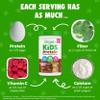 Orgain Kids Protein Powder Shake Mix, Chocolate Brownie - 8g Grass-Fed Dairy Protein, 4g Fiber, 23 Vitamins & Minerals, Gluten Free, No Soy Ingredients, Adds Healthy Nutrients to Kids Snacks, 1lb view 3