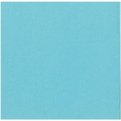 Caspari Robin's Egg Paper Linen Dinner Napkins - 12 Per Package - 2 Packages