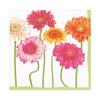 Caspari Blooming Daisy Luncheon Napkins - 20 Per Package - 2 Packages view 1