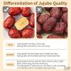 Hee Creek Chinese Jujube Dates 500g (1.1LB) dried red date High Grade Dried Red Dates Fruit Jujubes Healthy Dried Fruit Superfood Snack, No Preservatives, Vegan, Kosher, Sweet Crispy Small Core   view 4