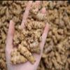 300g Natural Radix Panax Notoginseng Sanqi Root -Sanchi Tienchi Ginseng view 1