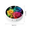 VHPVHP Contact Lenses Case Kit, Rose Flower Rainbow Contact Lens Case with Mirror,Portable Contact Box Travel Kit with Tweezers Remover for Outdoor And Office Daily Use view 2