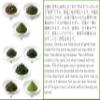  Brand [Japanese Green Tea] (Amashizuku no Kirameki) Sencha 100% Yamecha Japanese Green Tea Leaves view 2